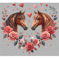 Valentine's Day-QRJ  5847